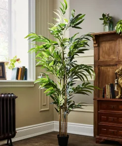 Brilliant Bamboo Plant