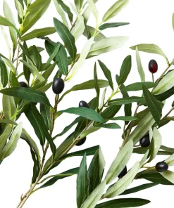 Oh So Lovely Olive Branches (Pack Of 3)
