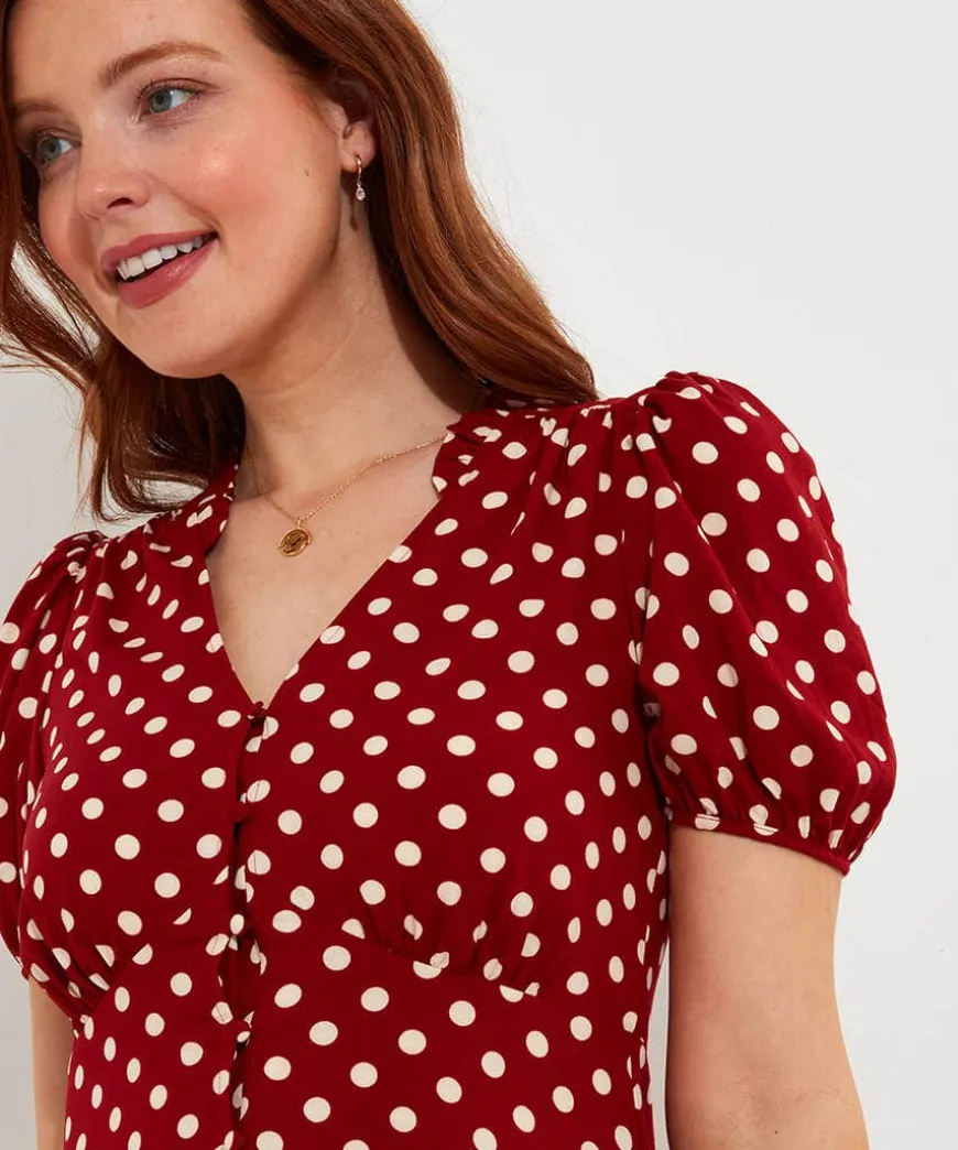 Perfectly Polka Dress