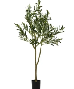 The Tree Of Life Olive Tree