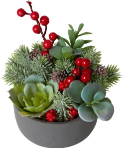 Tis The Season Succulent